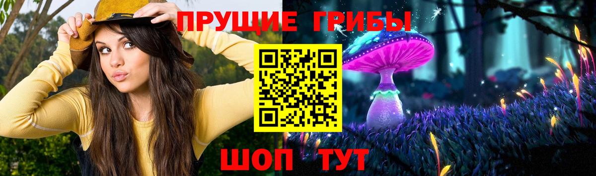 Корсаков  Галлюциногенные грибы Psilocybine cubensis  Псилоцибиновые грибы ЛСД  Вход с VPN 